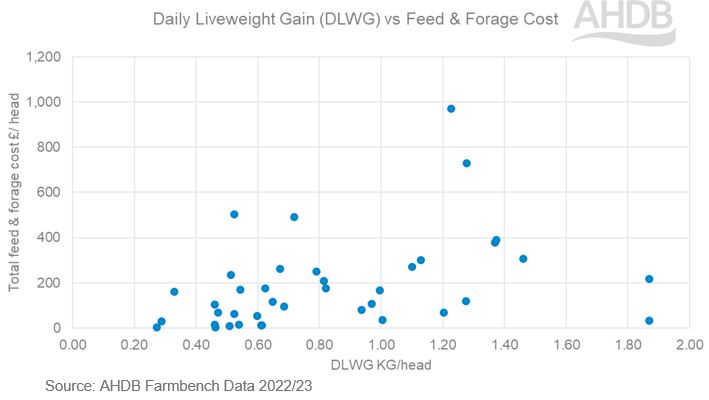 graph showing daily liveweight gain vs feed forage cossr